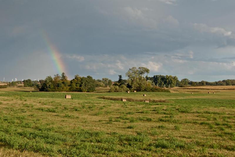 Ferienwohnung Uckermarkblick Ziehten ภายนอก รูปภาพ