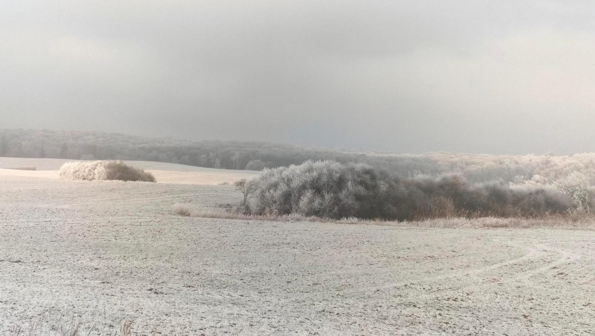 Ferienwohnung Uckermarkblick Ziehten ภายนอก รูปภาพ
