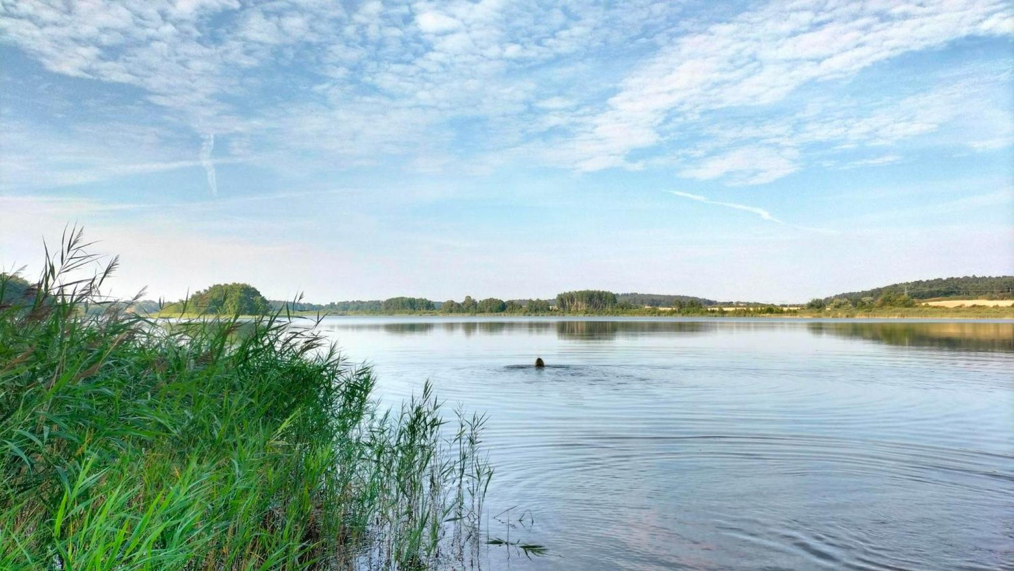 Ferienwohnung Uckermarkblick Ziehten ภายนอก รูปภาพ